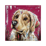 GOLDEN RETRIEVER BILDE